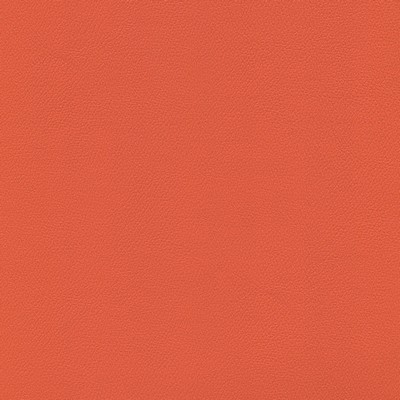 Abbeyshea Fabrics Enduratex Independence 8625 Mandarin