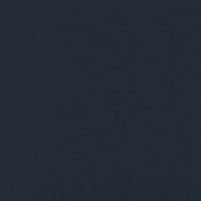 Abbeyshea Fabrics Enduratex Independence 8626 Navy