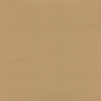 Abbeyshea Fabrics Enduratex Independence 8634 Sand