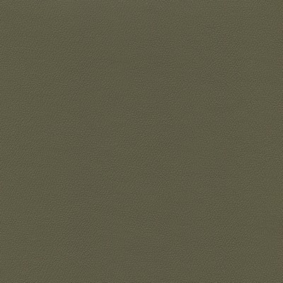 Abbeyshea Fabrics Enduratex Independence 8638 Eucalytpus