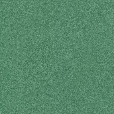 Abbeyshea Fabrics Enduratex Independence 8750 Amuse-Mint