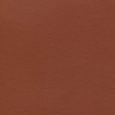 Abbeyshea Fabrics Enduratex Independence 8751 Autumn Ridge