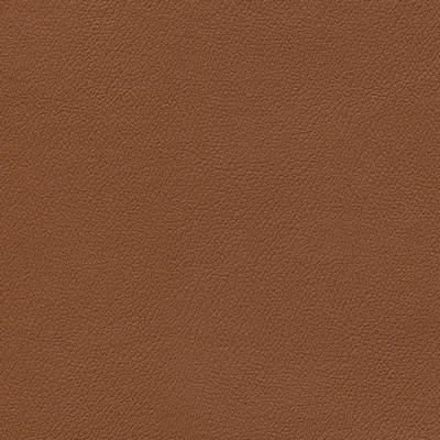 Abbeyshea Fabrics Enduratex Independence 8753 Barn Owl