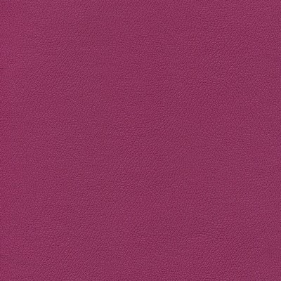 Abbeyshea Fabrics Enduratex Independence 8755 Boysenberry Margarita