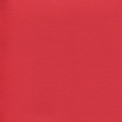 Abbeyshea Fabrics Enduratex Independence 8761 Coral Commotion