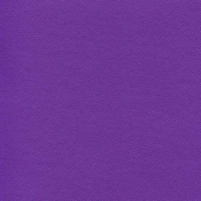 Abbeyshea Fabrics Enduratex Independence 8762 Court Purple