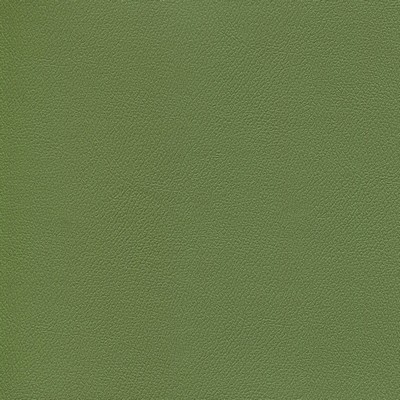 Abbeyshea Fabrics Enduratex Independence 8764 Dusty Olive