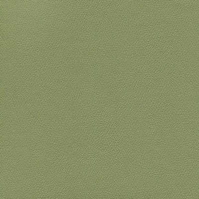 Abbeyshea Fabrics Enduratex Independence 8765 Echo Valley