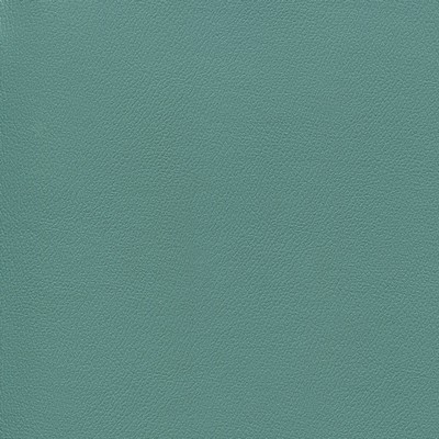 Abbeyshea Fabrics Enduratex Independence 8767 Frog Prince