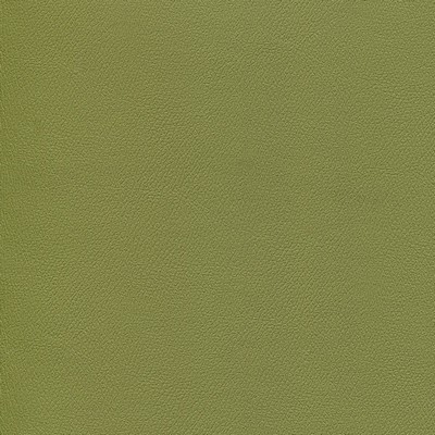 Abbeyshea Fabrics Enduratex Independence 8770 Leaf Me Be