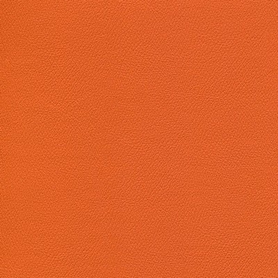 Abbeyshea Fabrics Enduratex Independence 8771 Long Horn