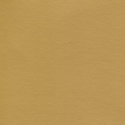 Abbeyshea Fabrics Enduratex Independence 8774 Shhhh-Immer