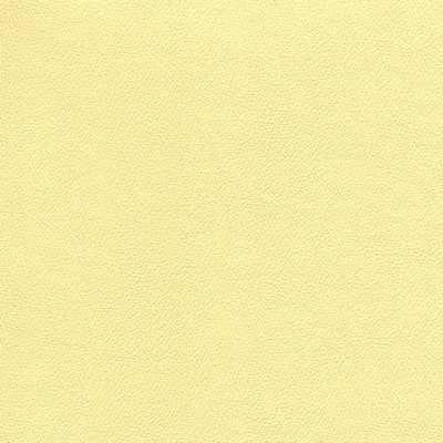 Abbeyshea Fabrics Enduratex Independence 8776 Sunny Disposition