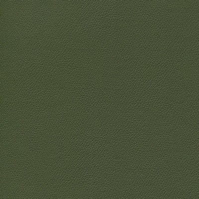 Abbeyshea Fabrics Enduratex Independence 8777 Thyme Is Money