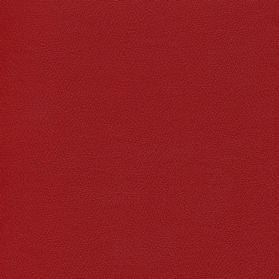 Abbeyshea Fabrics Enduratex Independence 8778 Toying With Trouble