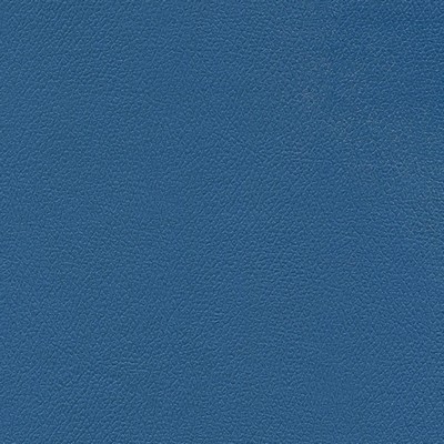 Abbeyshea Fabrics Enduratex Independence 8779 Tropical Storm