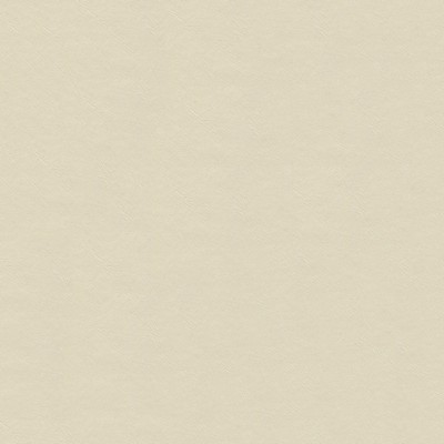 Abbeyshea Fabrics Lunar Stinger Cream Cream