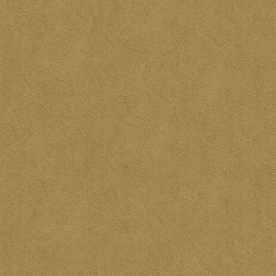 Abbeyshea Fabrics Midship 8884 Rawhide