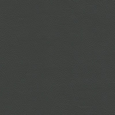 Abbeyshea Fabrics Enduratex Milled Pebble 7396 Dark Flint