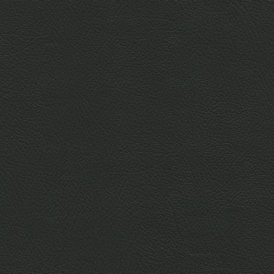 Abbeyshea Fabrics Enduratex Milled Pebble 7397 Ebony