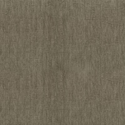 Abbeyshea Fabrics Molly 605 Birch 