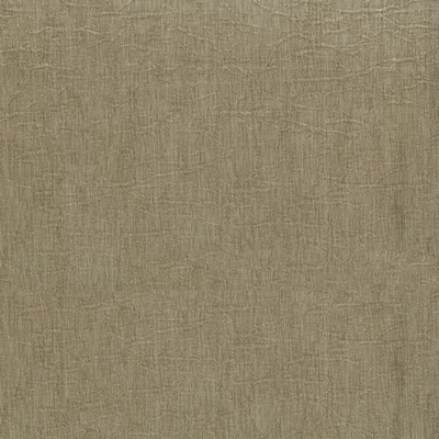 Abbeyshea Fabrics Molly 64 Maple 