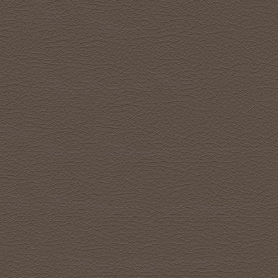 Abbeyshea Fabrics Nuance 2463 Medium Neutral