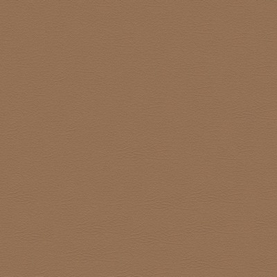 Abbeyshea Fabrics Nuance 2472 Chamois