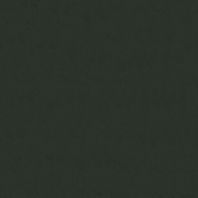 Abbeyshea Fabrics Nylon Liner 7 Black