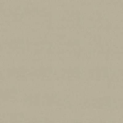 Abbeyshea Fabrics Odyssey 499/6006 Birch