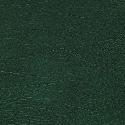 Abbeyshea Fabrics Enduratex Oxen 4564 Dark Green
