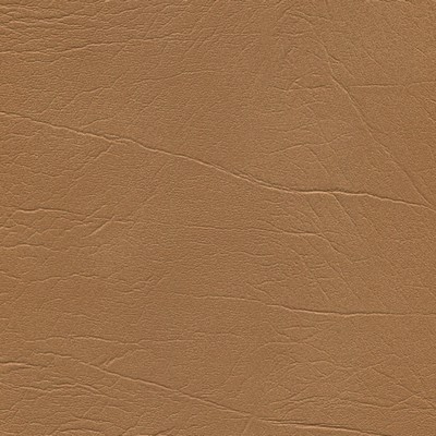 Abbeyshea Fabrics Enduratex Oxen 4957 Dark Buckskin