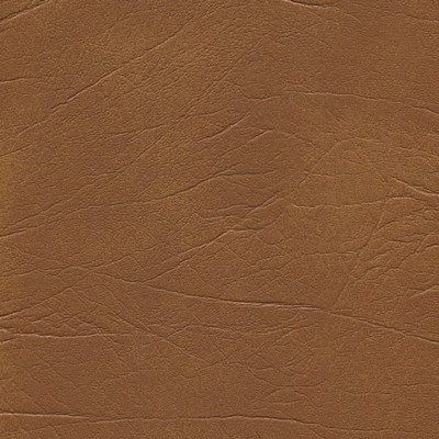 Abbeyshea Fabrics Enduratex Oxen 5205 Camel