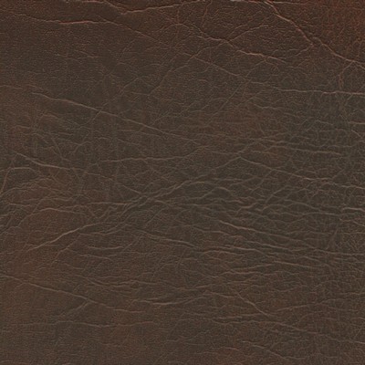 Abbeyshea Fabrics Enduratex Oxen 5959 Briar Brown