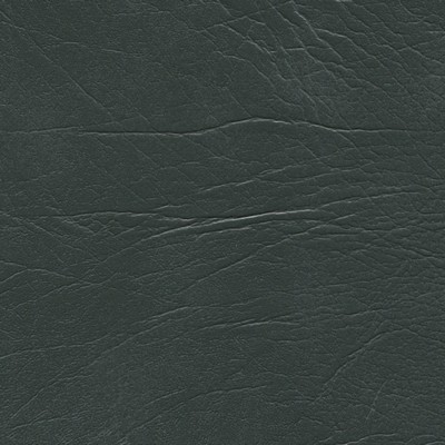 Abbeyshea Fabrics Enduratex Oxen 5962 Charcoal Gray