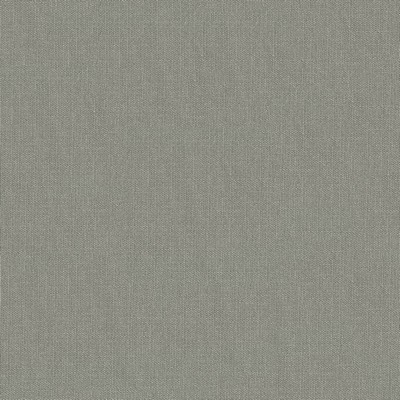 Abbeyshea Fabrics Pace 94 Platinum