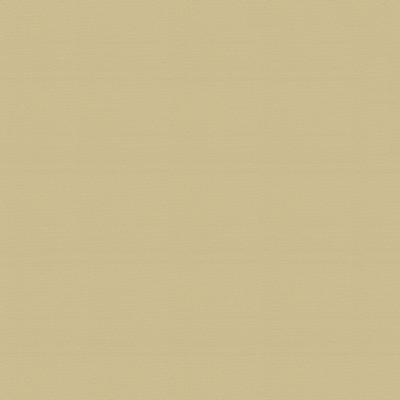 Abbeyshea Fabrics Patio 500522 Beige