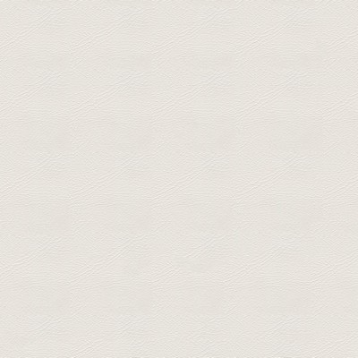 Abbeyshea Fabrics Pegasus 1613 Brilliant White