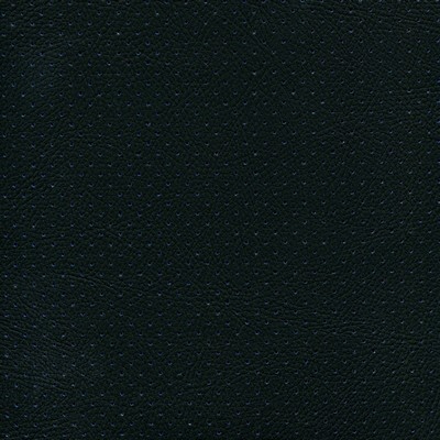 Abbeyshea Fabrics Enduratex Phantom 502 Black - Blue Perforated