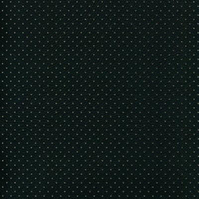 Abbeyshea Fabrics Enduratex Phantom 503 Black - White Perforated