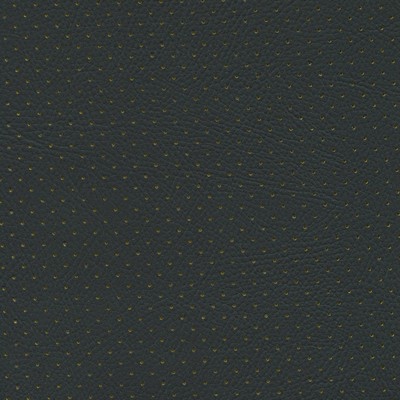 Abbeyshea Fabrics Enduratex Phantom 504 Black - Yellow Perforated