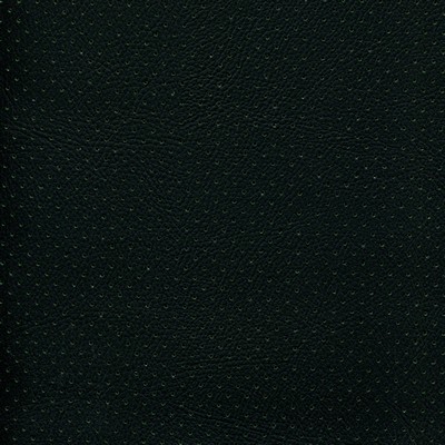 Abbeyshea Fabrics Enduratex Phantom 505 Black - Turf Perforated