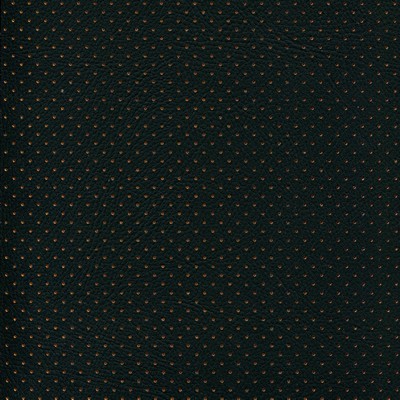 Abbeyshea Fabrics Enduratex Phantom 506 Black - Orange Perforated