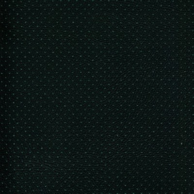 Abbeyshea Fabrics Enduratex Phantom 507 Black - Green Perforated