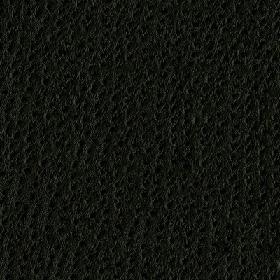 Abbeyshea Fabrics Phoenix 003 Caviar