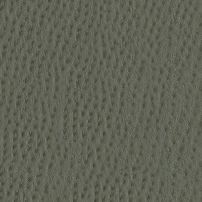 Abbeyshea Fabrics Phoenix 104 Rhino