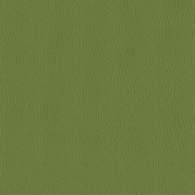 Abbeyshea Fabrics Premier 205 Sprig