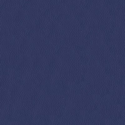 Abbeyshea Fabrics Premier 3003 Pacific Blue