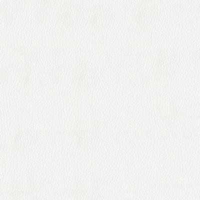 Abbeyshea Fabrics Premier 3822 White