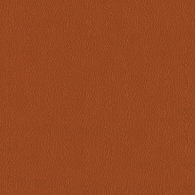 Abbeyshea Fabrics Premier 44 Pumpkin Spice